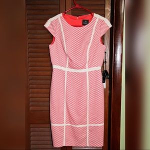 Adrianna Papell Body Con Dress